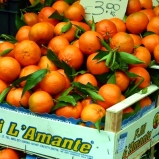 Oranges at Campo de Fiori