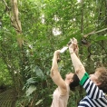 Capturing Rainforest Images